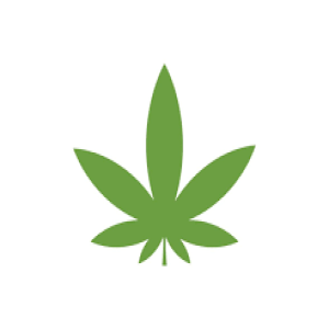 Easy Weed Discount Code and Deals 2025